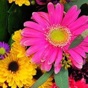 Meet your Posher, Elaine